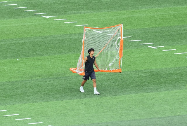 莫托和马尔